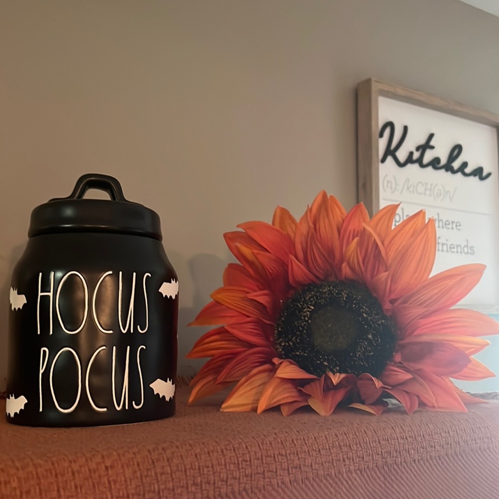Hocus pocus rae dunn canister
